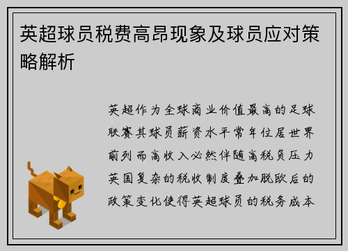 英超球员税费高昂现象及球员应对策略解析